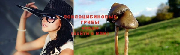 гидропоника Армянск
