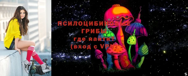 СК Аркадак