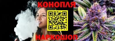 МДПВ Гагарин