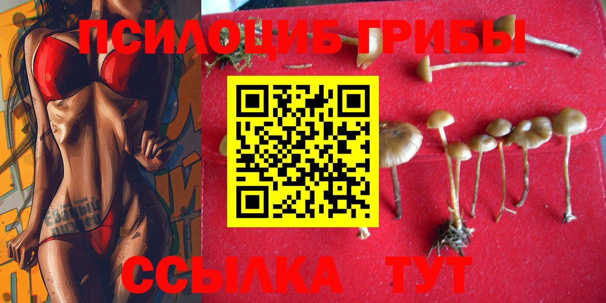 Галлюциногенные грибы Cubensis Саянск