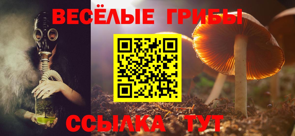 Саянск  Галлюциногенные грибы Magic Shrooms  Вход с VPN 